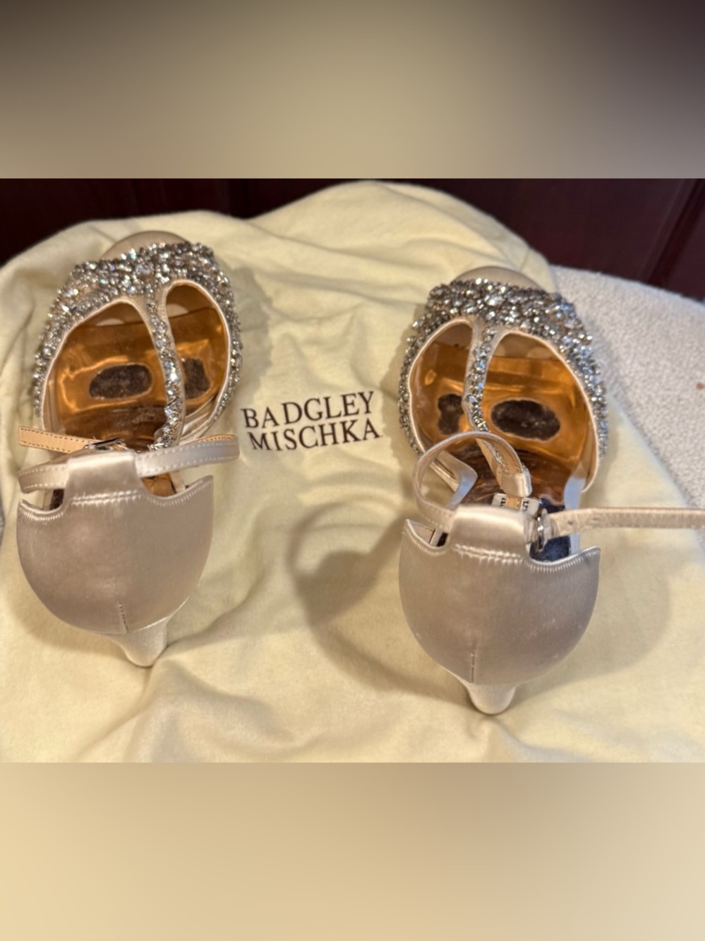 Badgley Mischka Kids Champagne Satin Crystal T-Strap Dress Shoes